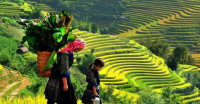 From Hanoi: 2-Day Trekking To Villages In Sapa with Homestay - Day 1: Hanoi to Sapa by bus, then Muong Hoa Valley to Lao Chai and Ta Van