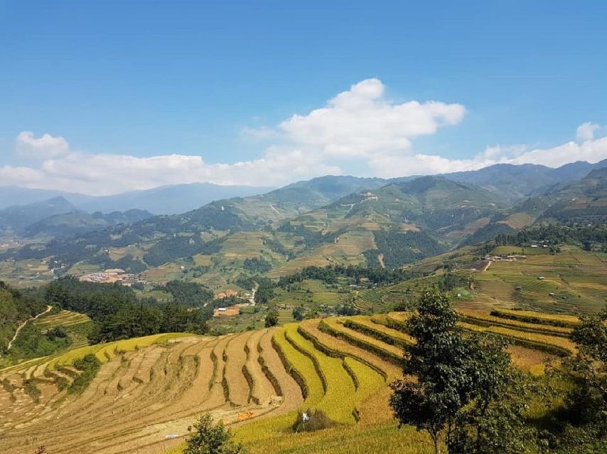 From Hanoi: 2-Day Trekking To Villages In Sapa with Homestay - Price and value: what $84 buys, and what you should budget for