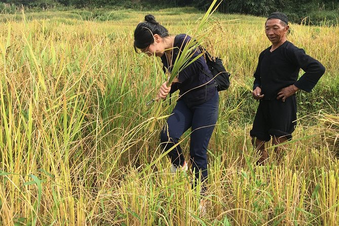 From Hanoi: 2 Days Sapa Trek & Fansipan Adventure with Dcar - Cat Cat Village Stops: Stilt Houses, Weaving, and the Waterfall Walk