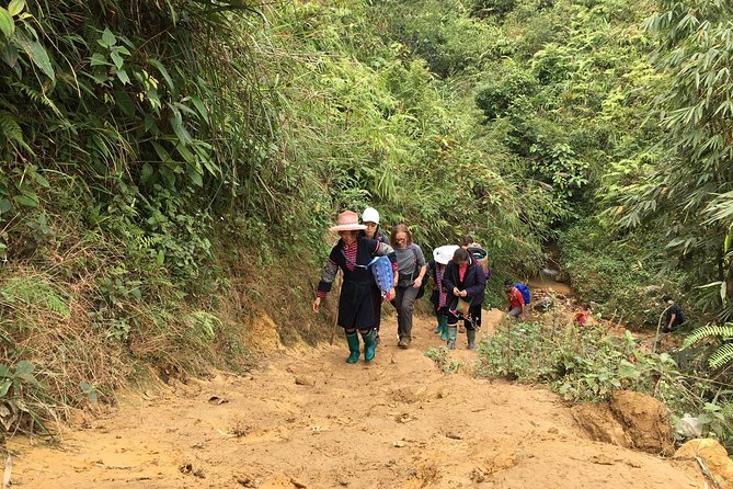 From Hanoi: 2 Days Sapa Trek & Fansipan Adventure with Dcar - Hotel, Meals, and Pace: Built for People Who Want Value, Not Chaos