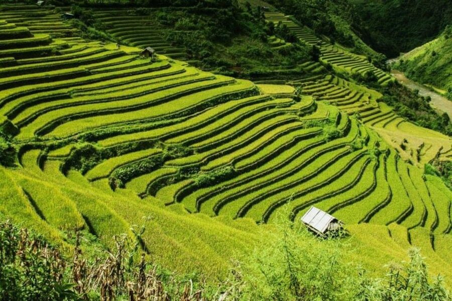 From Hanoi: 2-Days Sapa Trekking Tour Lao Chai and Cat Cat - Key highlights to know before you go