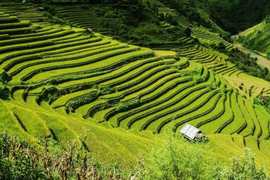 From Hanoi: 2-Days Sapa Trekking Tour Lao Chai and Cat Cat - Luxury limousine from Hanoi: comfortable, but plan for time