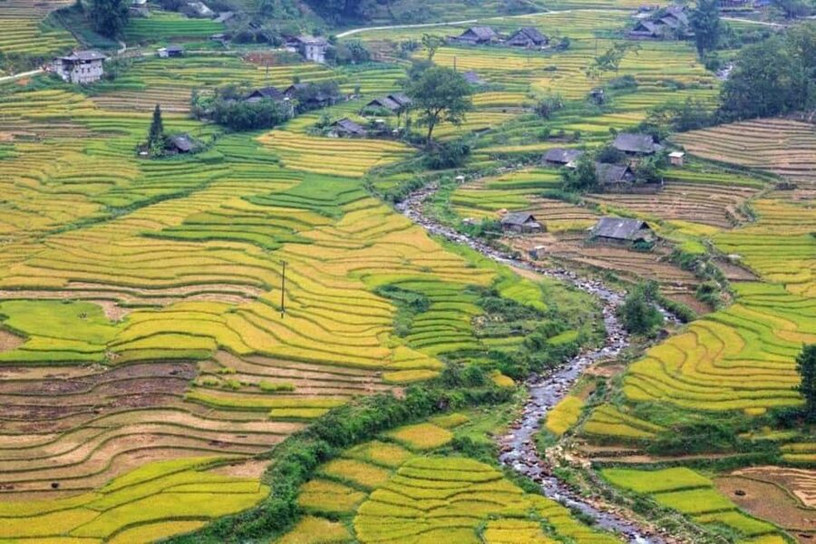 From Hanoi: 2-Days Sapa Trekking Tour Lao Chai and Cat Cat - Lunch and Sapa town time: use it to reset your energy