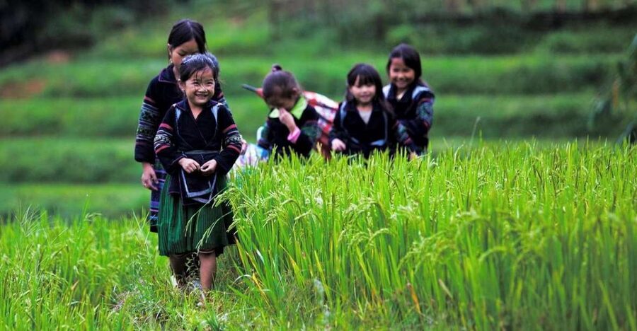 From Hanoi: 3-Day Sapa Trek with Guide, Homestay and Meals - Sapa’s Hill-Tribe Valleys: What Makes This 3 Days Feel Real