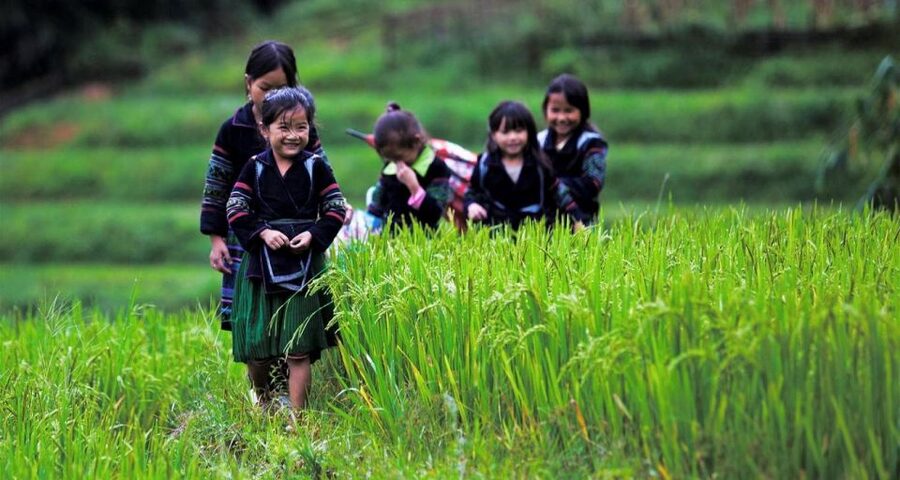 From Hanoi: 3-Day Sapa Trek with Guide, Homestay and Meals - Price and Value: What $138 Covers (and What Can Cost Extra)