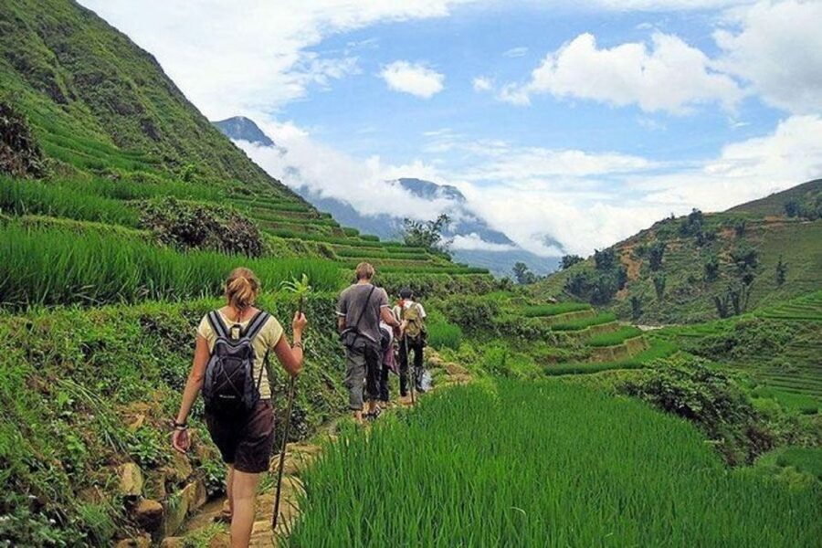 From Hanoi: 3-Day Sapa Trek with Guide, Homestay and Meals - Day 3: Bamboo Forest, Giang Ta Chai Bridge, and Back to Hanoi