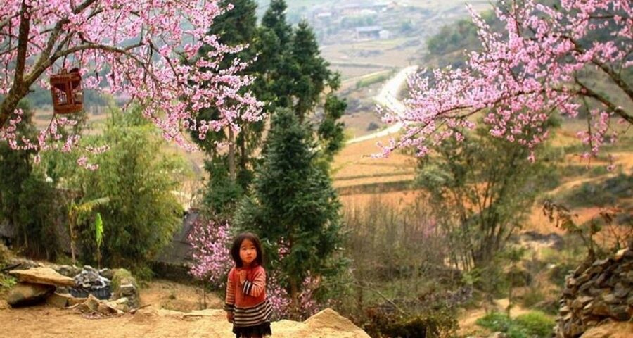 From Hanoi: 3-Day Sapa Trek with Guide, Homestay and Meals - Homestay Basics in Ta Van: Comfort Level and What to Expect