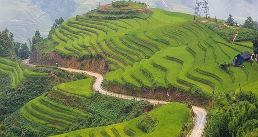 From Hanoi: 3-Day Sapa Trek with Guide, Homestay and Meals - Trekking Reality Check: Distances, Pace, and Who This Fits