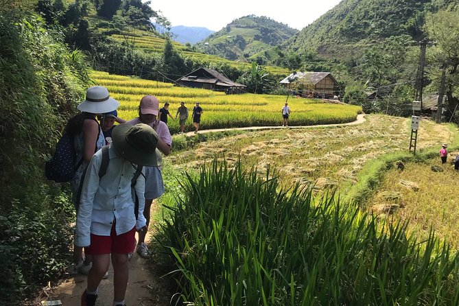 From Hanoi: 3 Days Luxury Sapa Trek & Fansipan Peak with Dcar - Day 3 Ham Rong (Dragon’s Jaw): Views, Then Back to Hanoi