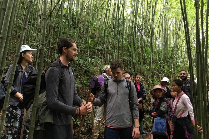 From Hanoi: 3 Days Luxury Sapa Trek & Fansipan Peak with Dcar - Day 2 Trek to Cat Cat Village: A Classic Walk That Won’t Beat You Up