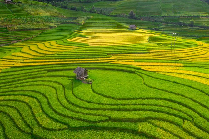 From Hanoi: 3 Days Sapa Trekking & Ethnic Villages by Dcar - Getting From Hanoi to Sapa: DCAR Limousine and Pickup Timing
