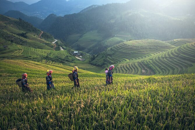 From Hanoi: 3 Days Sapa Trekking & Ethnic Villages by Dcar - Day 2 Trek to Cat Cat Village and Your Fansipan Choice