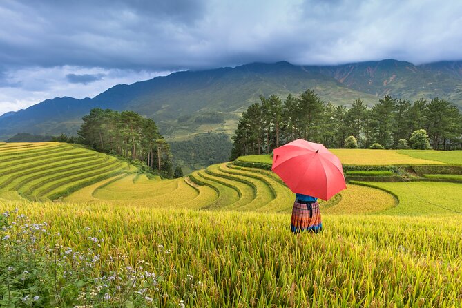 From Hanoi: 3 Days Sapa Trekking & Ethnic Villages by Dcar - Price and Logistics: Is $140 Good Value?