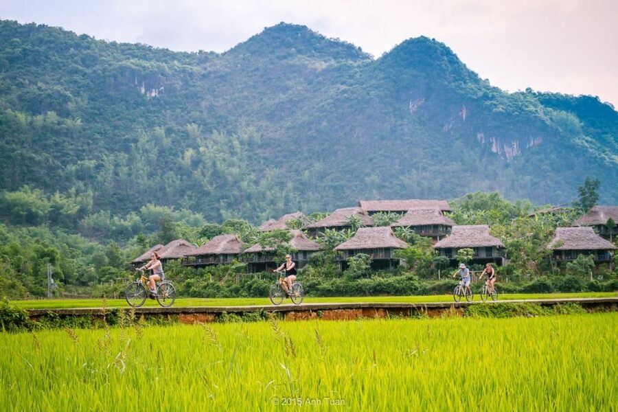 From Hanoi: Mai Chau Valley & Hill Tribes 2-Day Trek Tour - Evening in a White Thai village: dinner, dance, and ruou can