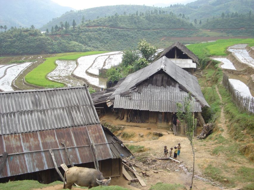 From Hanoi: Sapa 3-Day Medium Trek and Limousine Trip - Day 3: bamboo forest, a waterfall pause, and Giang Ta Chai
