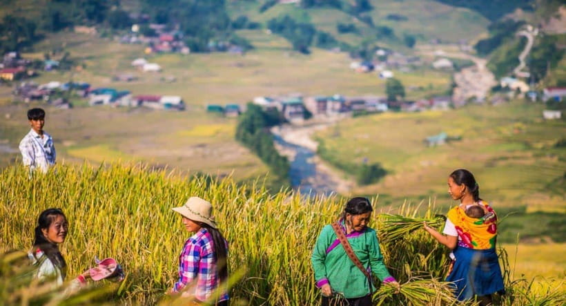 From Hanoi: Trek and Stay: 3-Day Sapa Highlands Adventure - Guide quality: why names like Pang and Phinh keep showing up