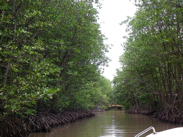 From Ho Chi Minh: Can Gio Trek – Monkey Island & Crocodile Farm - First Things First: What You’re Actually Paying For