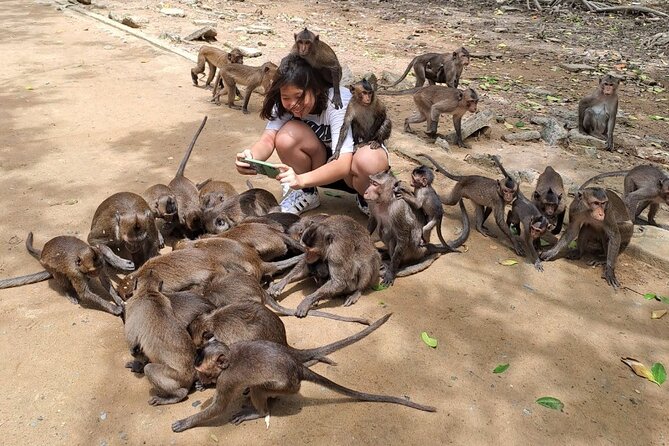 From Ho Chi Minh: Can Gio Trek – Monkey Island & Crocodile Farm - Monkey Island: The Most Fun, the Most Mischief, the Best Tip on Safety