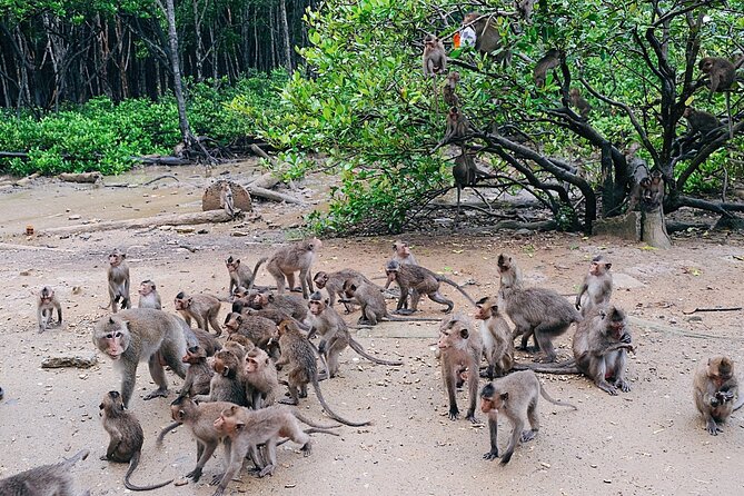 From Ho Chi Minh: Can Gio Trek – Monkey Island & Crocodile Farm - Canoe Rides and Speedboat Add-Ons: Choose the Vibe