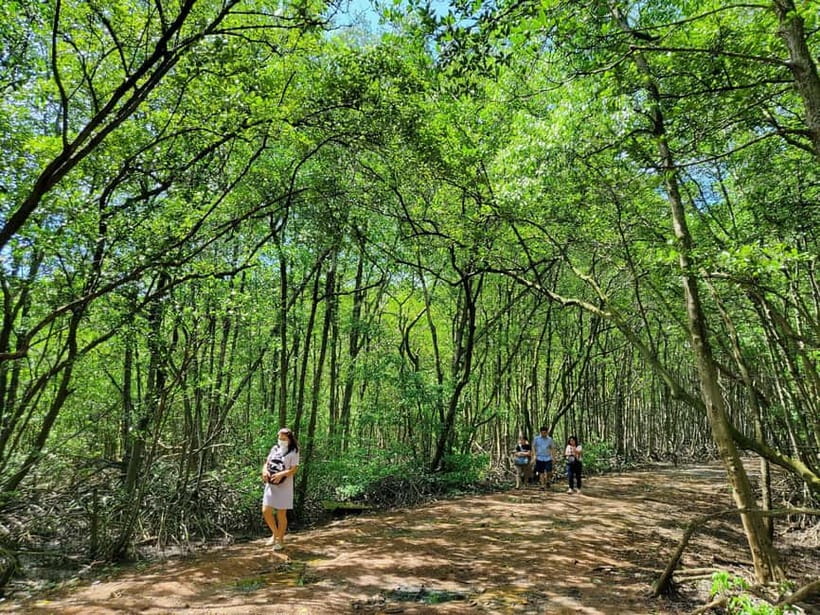 From Ho Chi Minh City: Can Gio Mangrove & Monkey Island Trek - Hoa Ca crocodile reserve: a rare stop, but manage your expectations