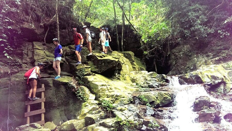 From Hue/Da Nang/Hoi An: Bach Ma National Park Trekking Tour - Getting There: Pickup Times, Meet Point, and Return Windows