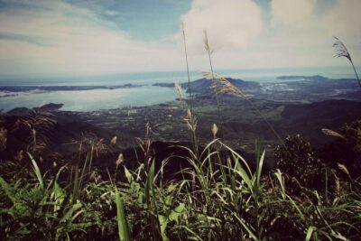 From Hue/Da Nang/Hoi An: Bach Ma National Park Trekking Tour - Stop-by-Stop: What Happens During the Day