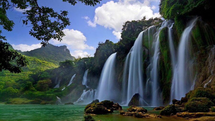 From Hue/Da Nang/Hoi An: Bach Ma National Park Trekking Tour - What the English Guide Adds (Especially with Lin and Phuong)