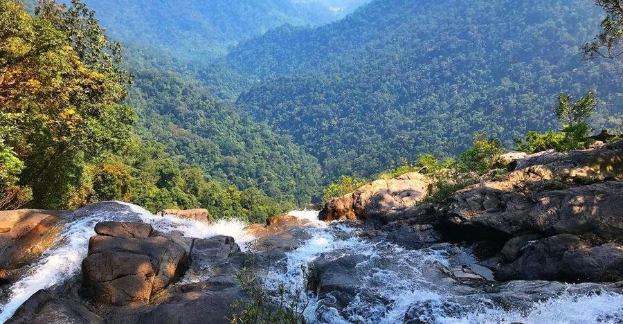 From Hue/Da Nang/Hoi An: Bach Ma National Park Trekking Tour - Who This Tour Fits Best