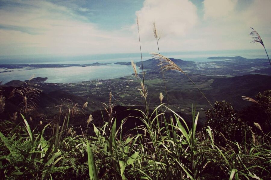 From Hue/Da Nang/Hoi An: Bach Ma National Park Trekking Tour - Stop-by-Stop: What Happens During the Day