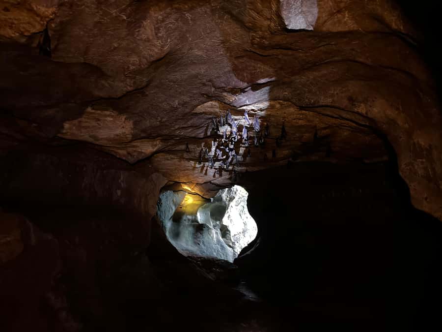 From Khao Sok: Half-Day Rainforest Trek with Local Guides - Guides and English: how to make the explanations land