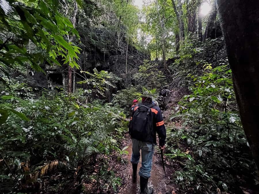 From Khao Sok: Half-Day Rainforest Trek with Local Guides - Meeting at Halo Tor Tao: the first test of your timing skills