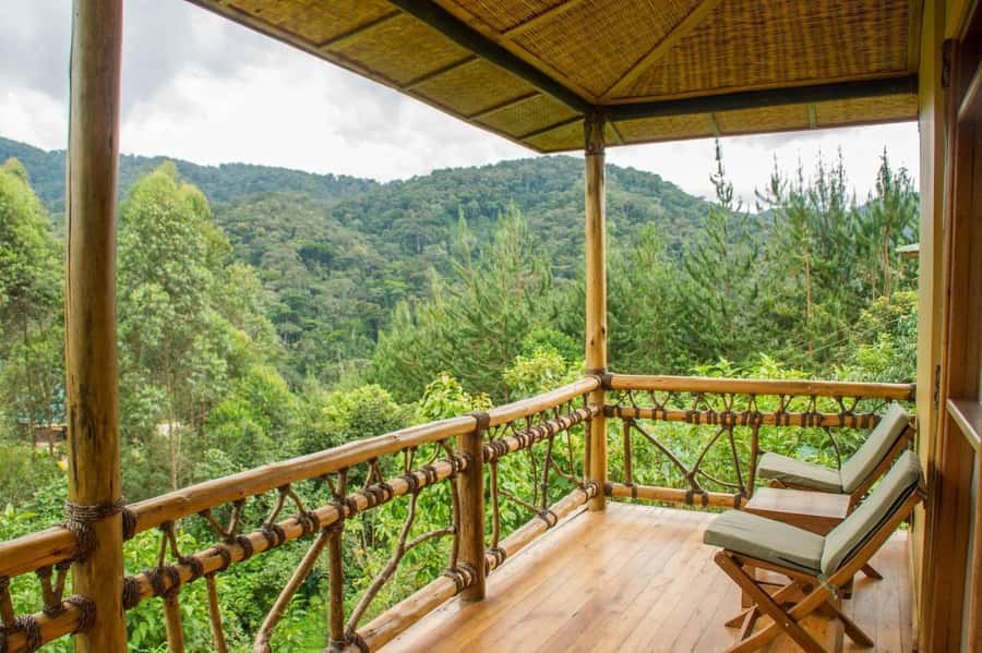 From Kigali: 2-Day Gorilla Trek: Bwindi Nat Park - Kigali to Uganda in Two Days: The Big Idea