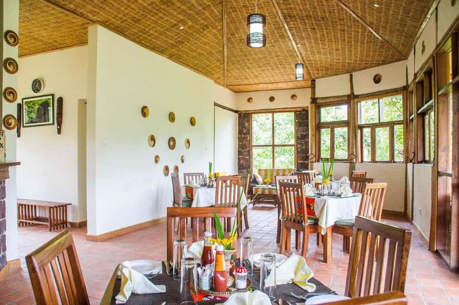From Kigali: 2-Day Gorilla Trek: Bwindi Nat Park - Transport and Guides: Why the Human Part Matters