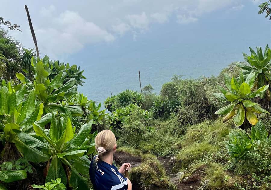 From Kigali: Bisoke Summit Trek, Crater Lake 1 Day Safari - 4:30 AM pickup from Kigali: how the day starts