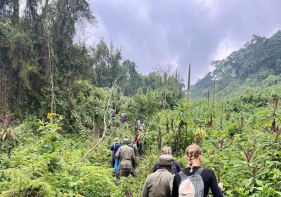 From Kigali: Bisoke Summit Trek, Crater Lake 1 Day Safari - Kinigi briefing inside Volcanoes National Park: what “organized” feels like