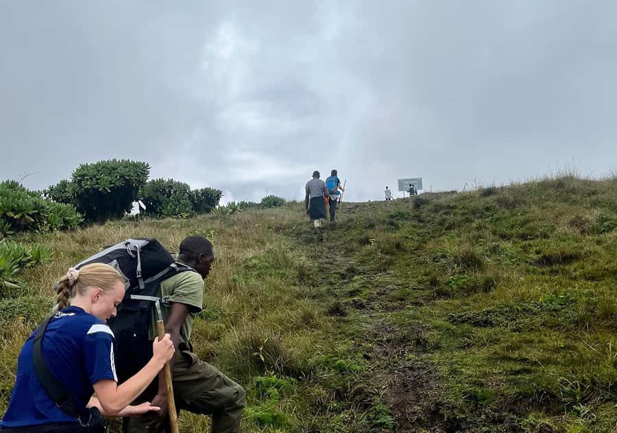 From Kigali: Bisoke Summit Trek, Crater Lake 1 Day Safari - Should you book with Vista Safaris?