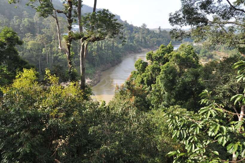 From Kuala Lumpur: Taman Negara National Park Trek Day Tour - A 15-hour day that feels like three different adventures
