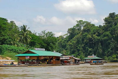 From Kuala Lumpur: Taman Negara National Park Trek Day Tour - Meeting point and getting from Kuala Lumpur without stress (mostly)