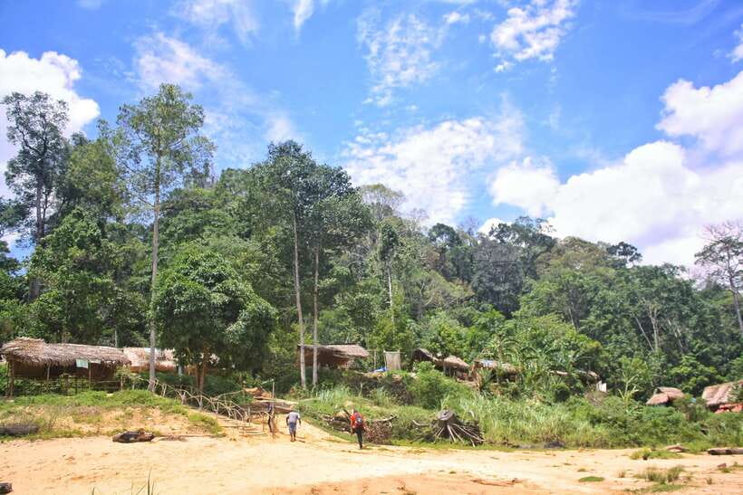 From Kuala Lumpur: Taman Negara National Park Trek Day Tour - Lunch at the Taman Negara floating restaurant: fuel, not a food tour