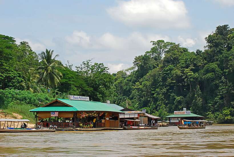 From Kuala Lumpur: Taman Negara National Park Trek Day Tour - Meeting point and getting from Kuala Lumpur without stress (mostly)