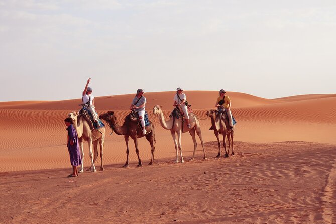 From Marrakech : 2 Day Stay in Merzouga with Food and Camel Trek - Marrakech to Merzouga: what this tour feels like in real time