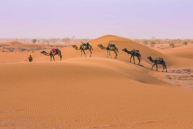 From Marrakech: 3 Days Desert Tour To Merzouga Camp & Camel Trek - Marrakech Pickup and the High Atlas Crossings That Set the Mood