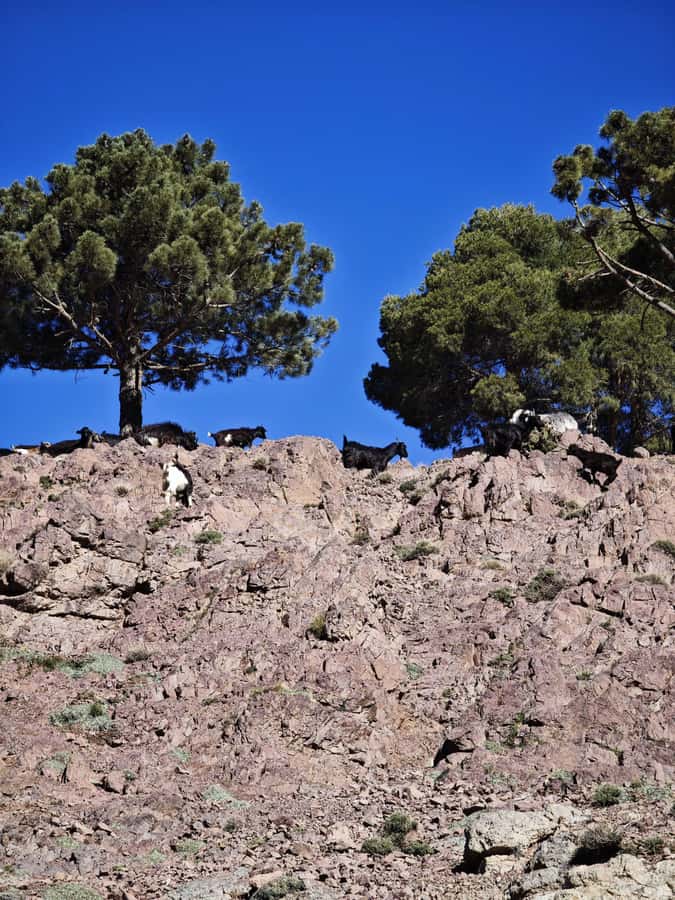 From Marrakech: Aourirt N’ouassif Summit Day Hike & Trek - Who this hike is best for (and who should skip it)