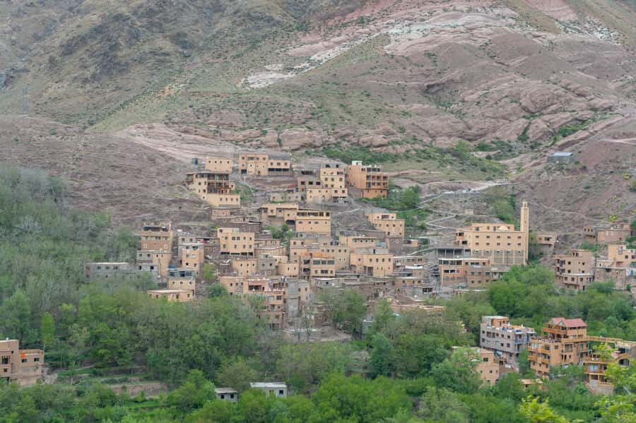 From Marrakech: Atlas Mountains Summit Trek - Argan cooperative stop: the tea you drink and the story behind it