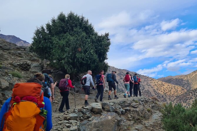 From Marrakech: Atlas Mountains Talamrout Summit day hike & Trek - Through Pine and Cedar Forest to Adrar Talamrout (2,600 m)