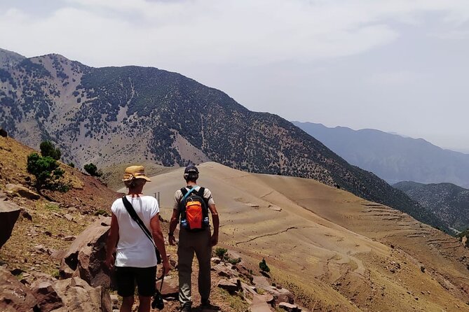 From Marrakech: Atlas Mountains Talamrout Summit day hike & Trek - Price and What You’re Getting for Around $40.71