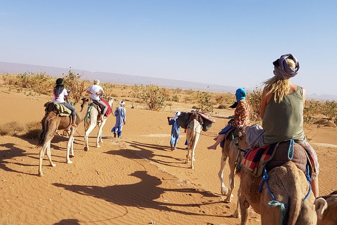 From Marrakech: Private Tour to Oasis and Trekking in the Desert of Erg Chigaga - Overnight in the dunes: comfort in a place you’d expect to be harsh