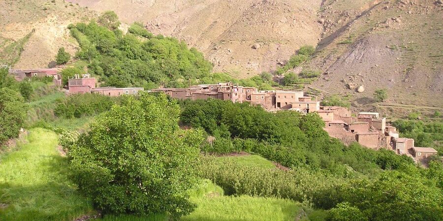 From Marrakech: Trek to Atlas Mountains, Full-Day Trip Lunch - Berber villages and mountain life: what you’re really seeing