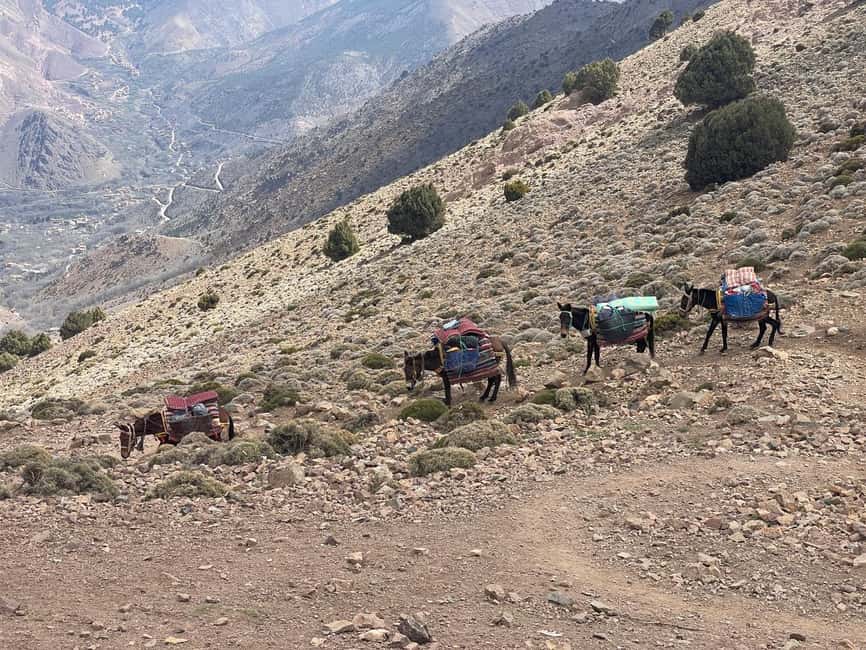 From Marrakech: Trek to Atlas Mountains, Full-Day Trip Lunch - Should you book Atlas-discovery’s High Atlas trek with lunch?