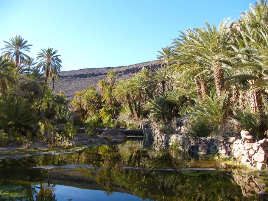 From Marrakesh: 2-Day Trek to Ait-Benhaddou and Ouarzazate - Who this 2-day Marrakesh-to-Atlas trip fits best